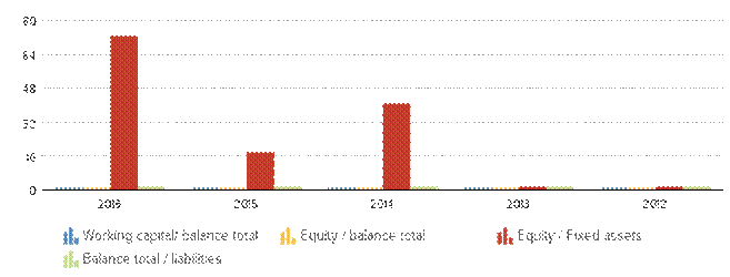 Description: http://kredietinformatie.creditdevice.nl/cache/ci-report-1200010-EN/KEYFIGURES-01-bar-large.png