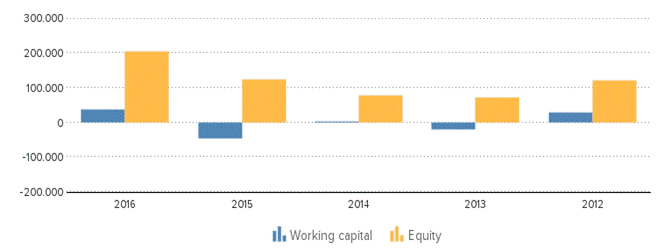 Description: http://kredietinformatie.creditdevice.nl/cache/ci-report-1211625-EN/SUMMARY-01-bar-large.png
