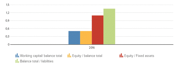 Description: http://kredietinformatie.creditdevice.nl/cache/ci-report-1217003-EN/KEYFIGURES-01-bar-large.png