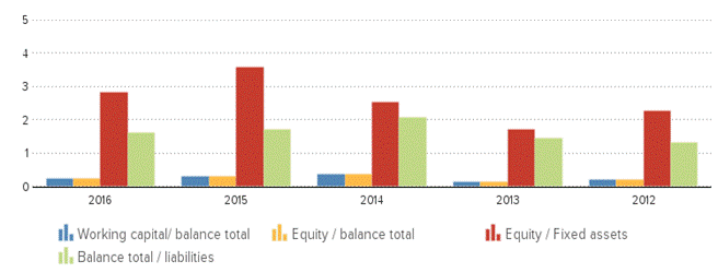 Description: http://kredietinformatie.creditdevice.nl/cache/ci-report-1219058-EN/KEYFIGURES-01-bar-large.png