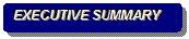 Rounded Rectangle: EXECUTIVE SUMMARY